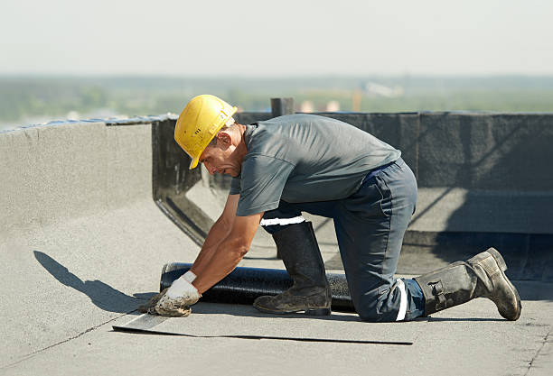 Best Insulation Installation Services in New Baltimore, VA